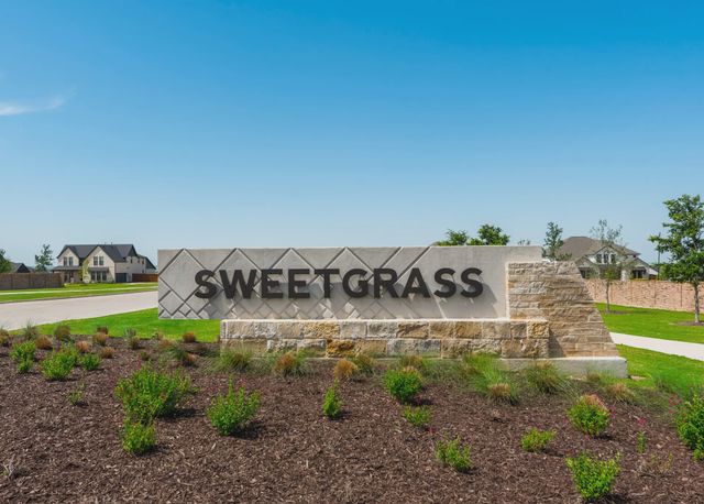 Sweetgrass image