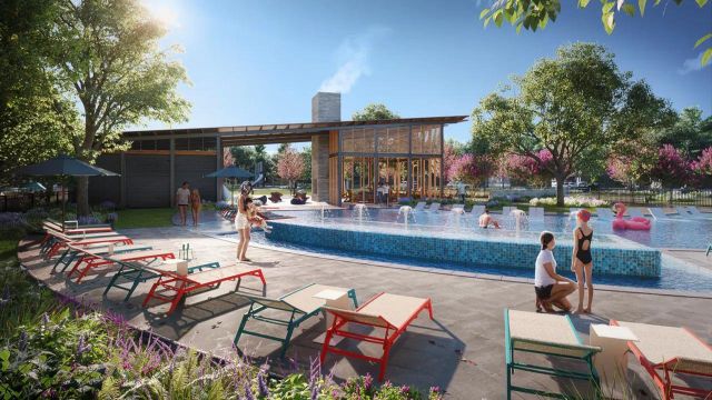 Painted Tree Showcase image