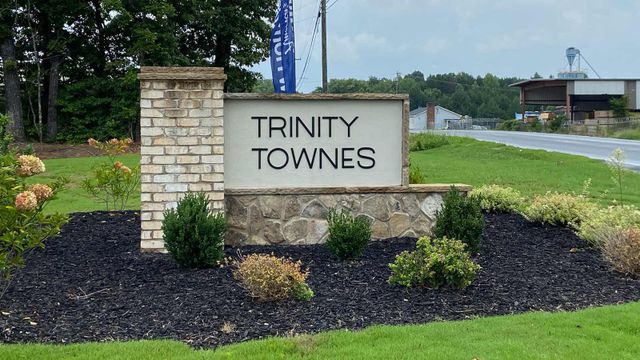 Trinity Townes image