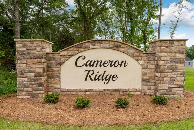 Cameron Ridge Ranches image