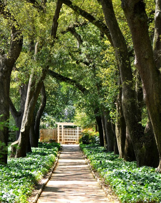 Hitchcock Preserve image