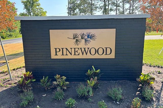 Pinewood image