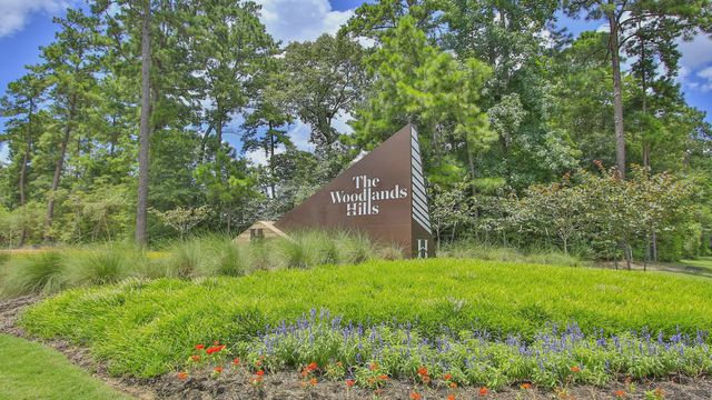 The Woodlands Hills image