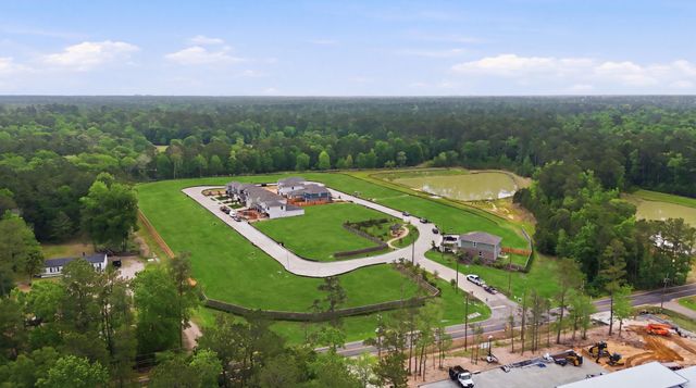 The Lakes at Black Oak Villas image