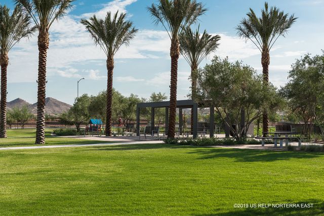 Union Park at Norterra by David Weekley Homes in Phoenix - photo