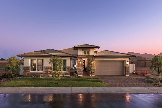 Sierra at Alamar by David Weekley Homes in Avondale - photo