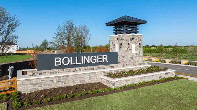 Bollinger image
