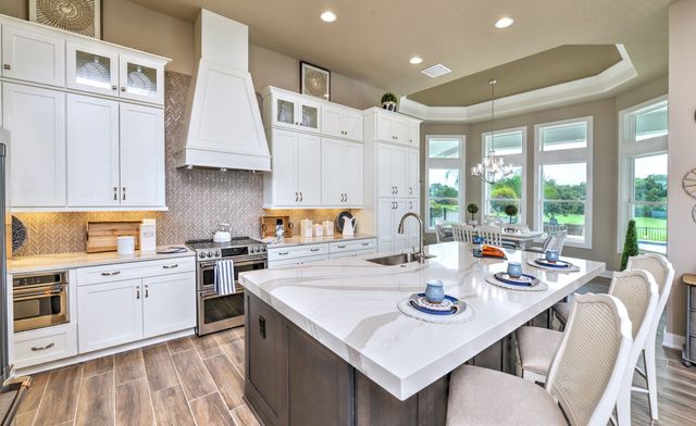 West Hill Estates by ICI Homes in Dade City - photo