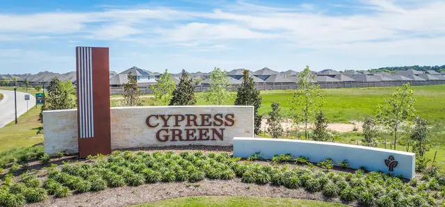 Cypress Green image