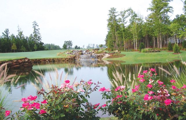 Sun City Peachtree image