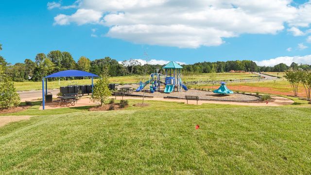 Hamilton Woods image