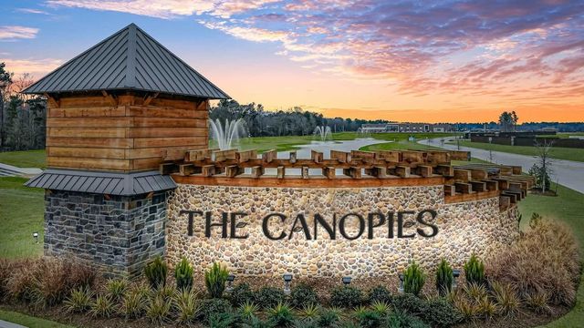 The Canopies by Smith Douglas Homes in Splendora - photo