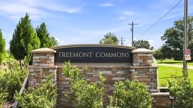 Treemont Commons image