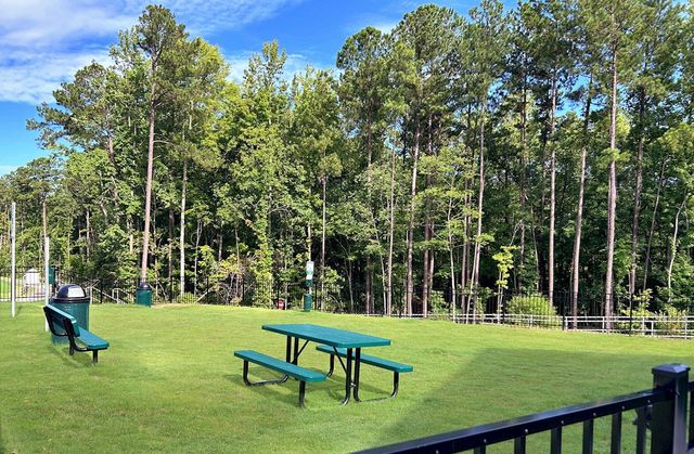 Carpenters Pointe by Beazer Homes in Cary - photo