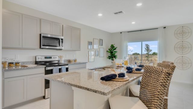 Avalon Park Tavares by D.R. Horton in Tavares - photo