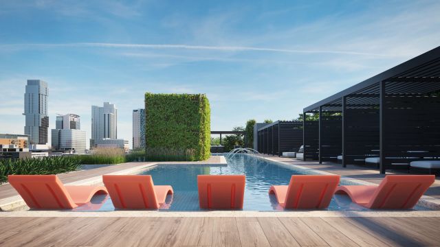 The Colorfield image