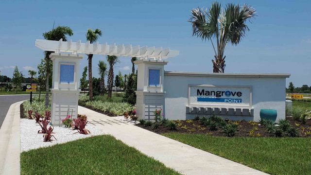 Mangrove Point by D.R. Horton in Apollo Beach - photo