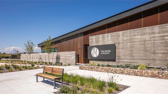 Macanta: The Legends Collection image