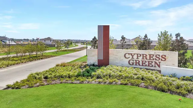 Cypress Green image