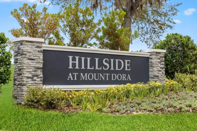 Hillside at Mount Dora image