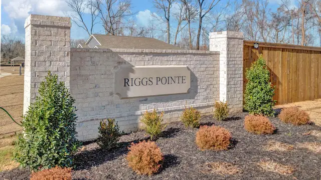 Riggs Pointe image