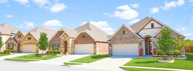 Shaded Tree: Lakeside Collection by Lennar in McKinney - photo