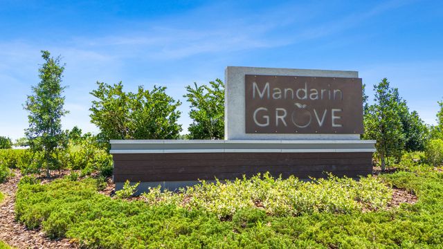 Mandarin Grove image