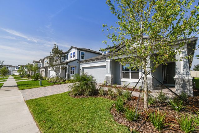 Whispering Oaks Preserve by M/I Homes in Wesley Chapel - photo