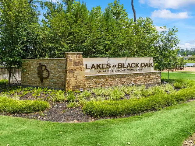 Lakes at Black Oak image
