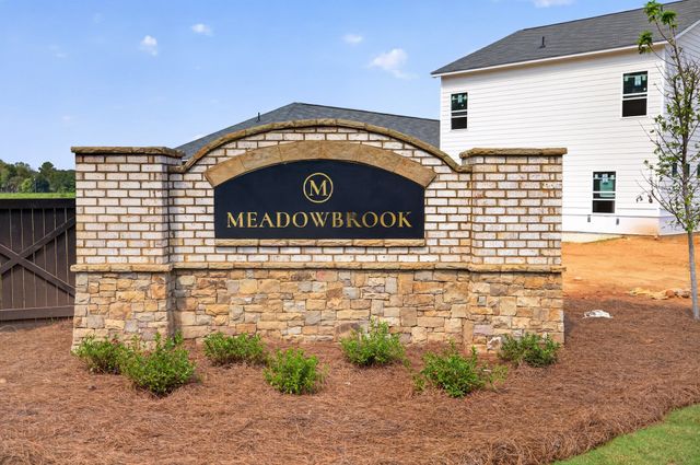 Meadowbrook image