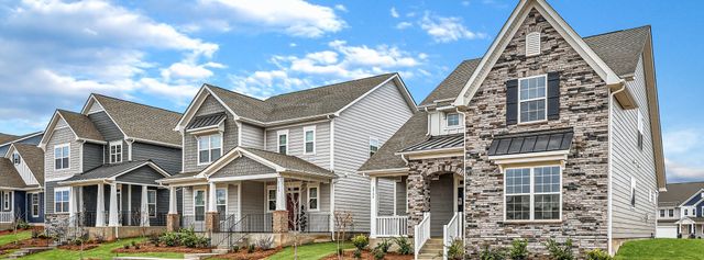 Elizabeth: Arbor image