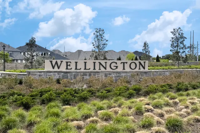 Wellington image