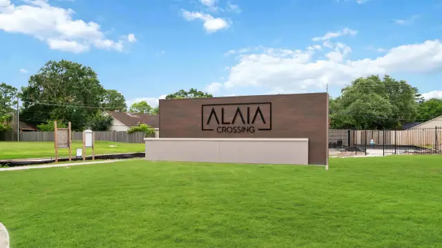 Alaia Crossing image