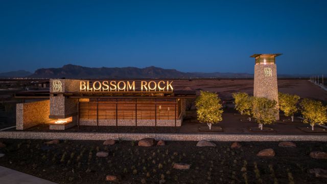 Blossom Rock image