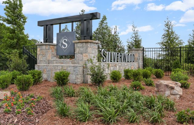 Silverwood image