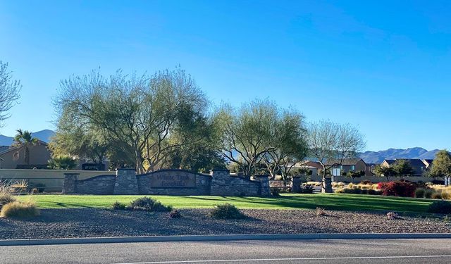 White Tank Foothills by Richmond American Homes in Waddell - photo