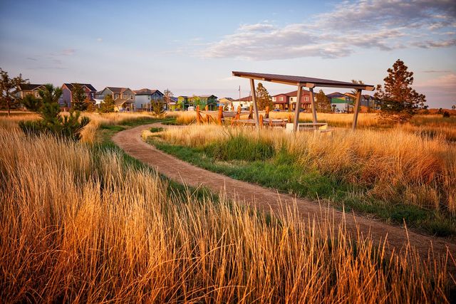 Painted Prairie image
