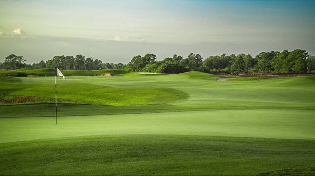 Ibis Landing Golf & Country Club: Carriage Homes image