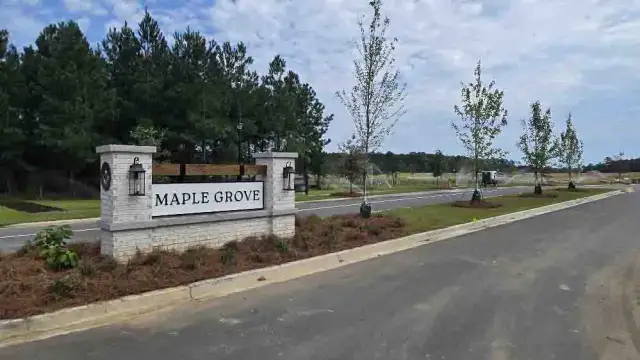 Maple Grove image