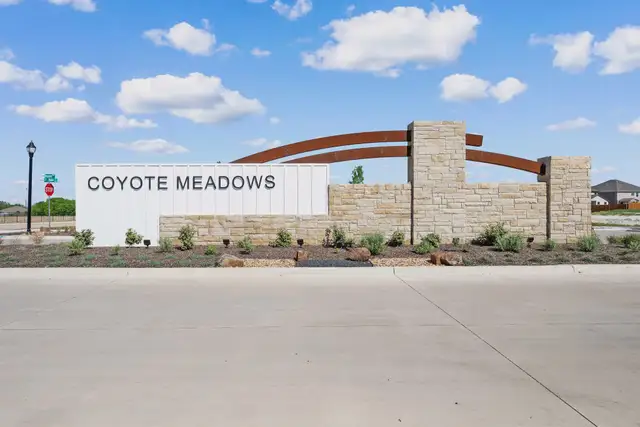 Coyote Meadows image