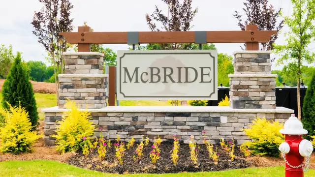McBride image