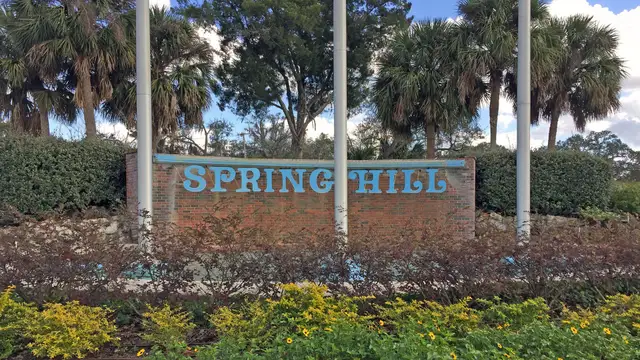 Spring Hill image