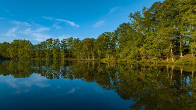 Cresswind at Spring Haven by Kolter Homes in Newnan - photo