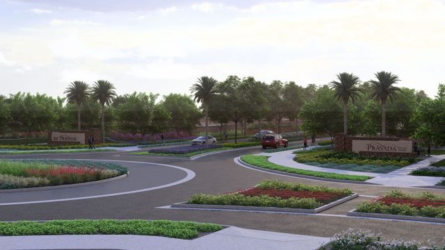 Redwood Valley at Prasada image