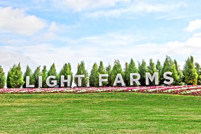 Light Farms Reagan - 80' Lots by Shaddock Homes in Celina - photo