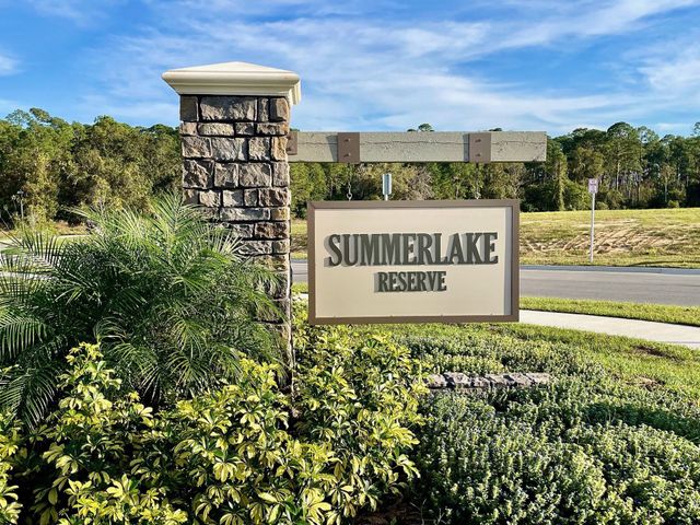 Summerlake Reserve by Hartizen Homes in Winter Garden - photo