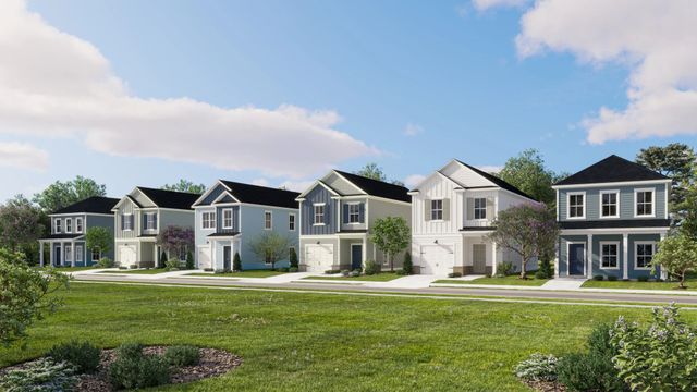 Camellia Row image