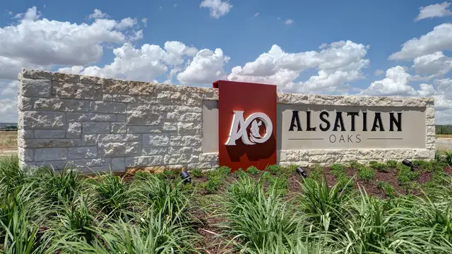 Alsatian Oaks 50' image