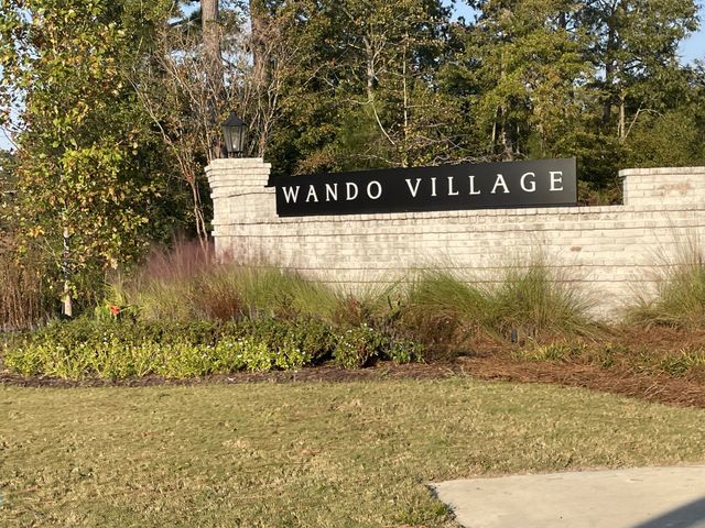 Wando Village image