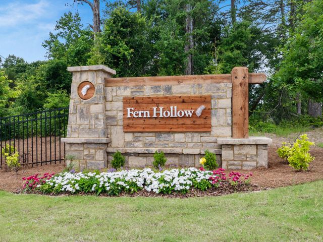 Fern Hollow image